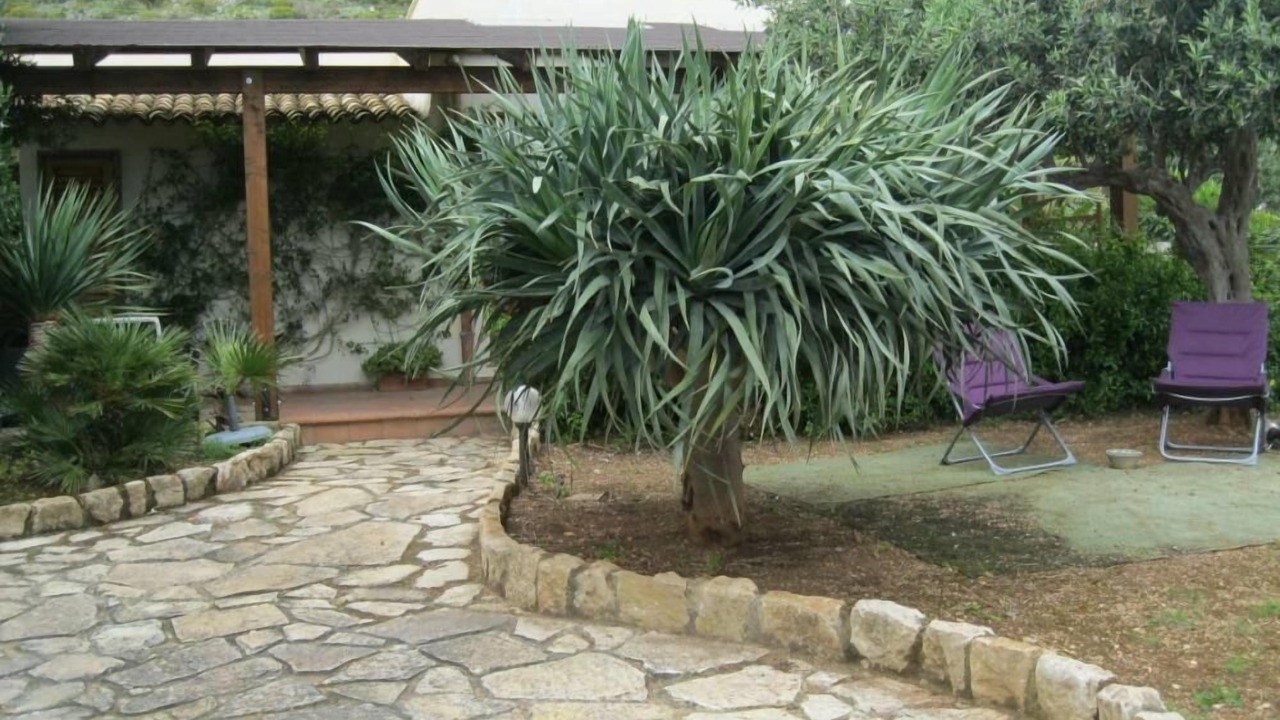 Photo of Outdoor in San Vito Lo Capo
