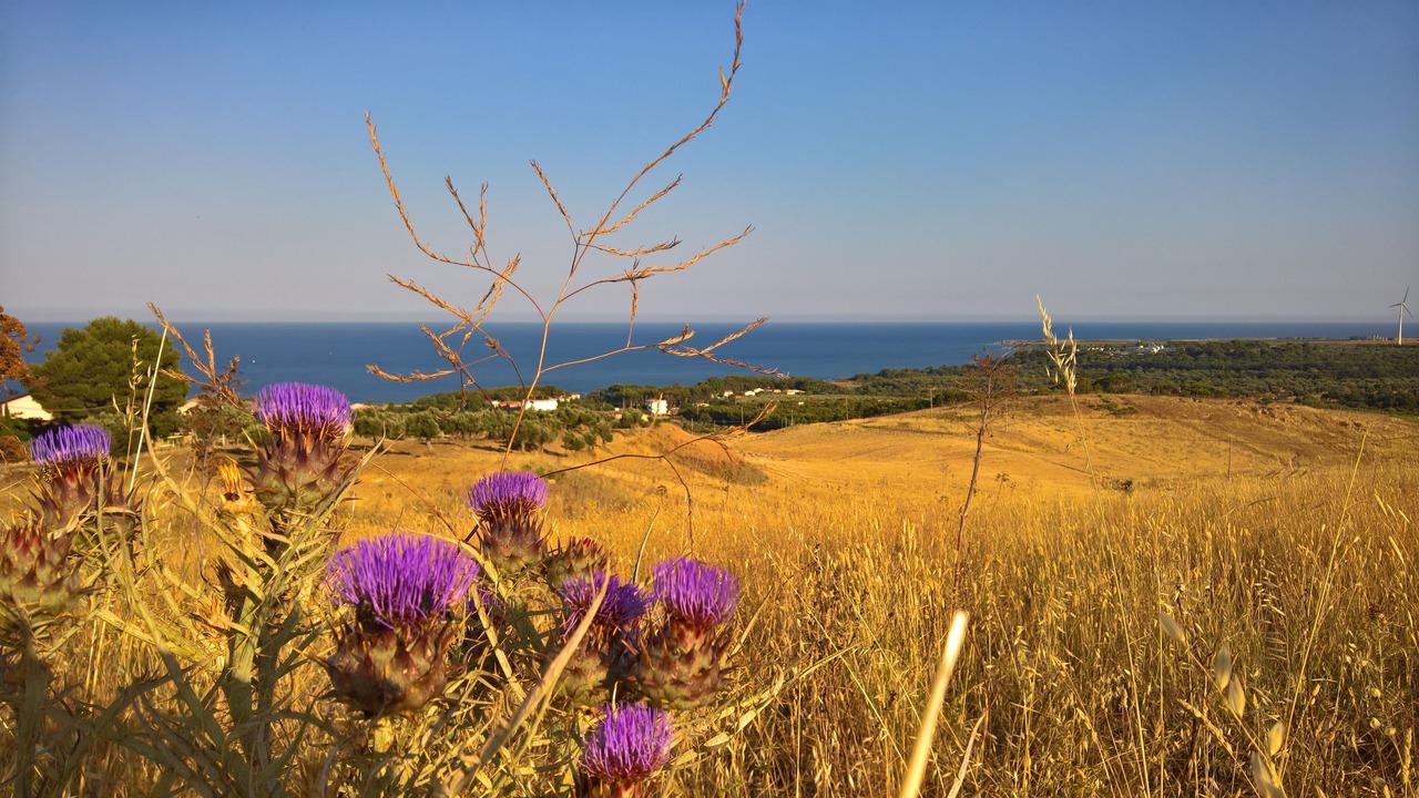 Photo of Others in Isola di Capo Rizzuto