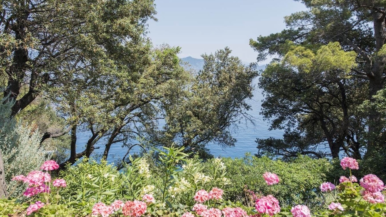 Photo of Outdoor in Portofino