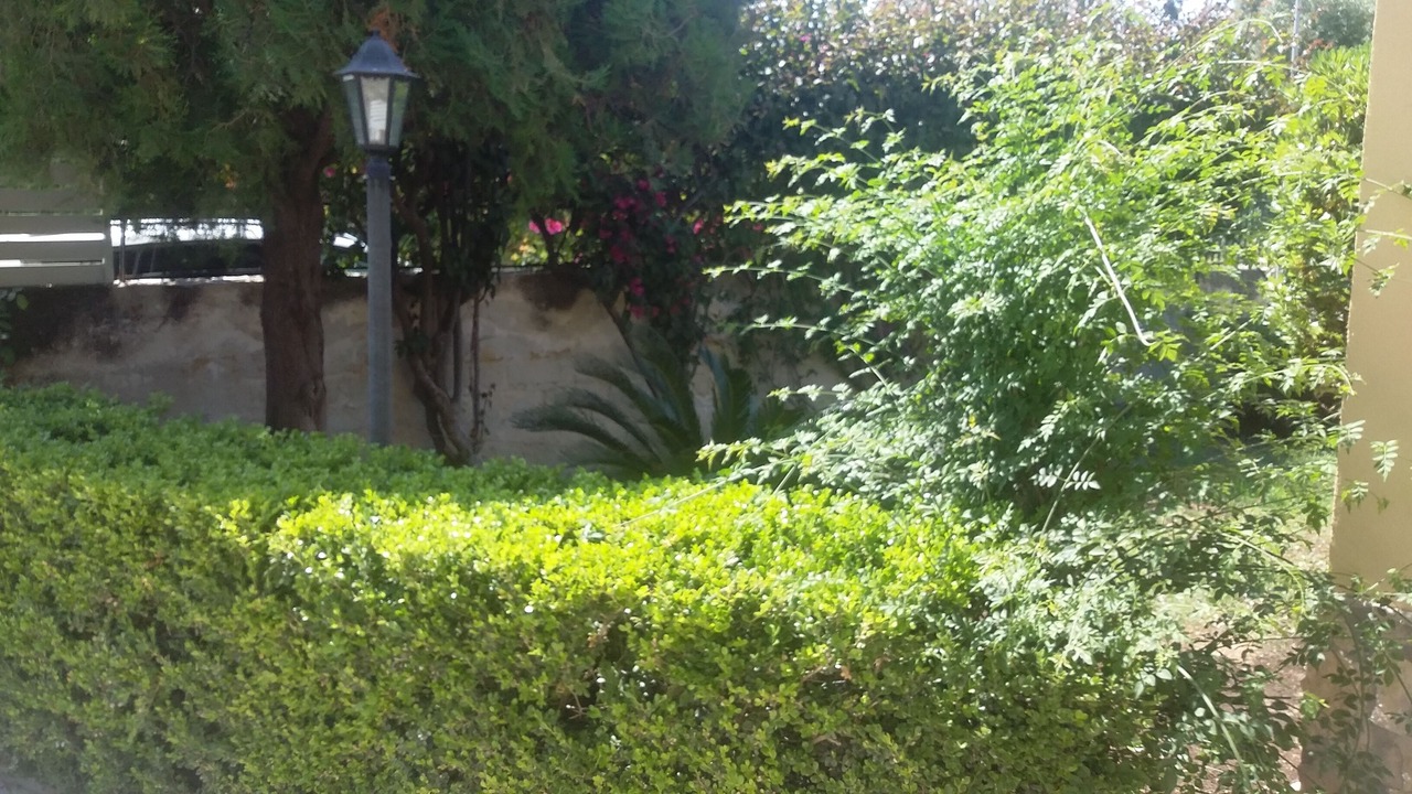 Photo of Outdoor in Arenella