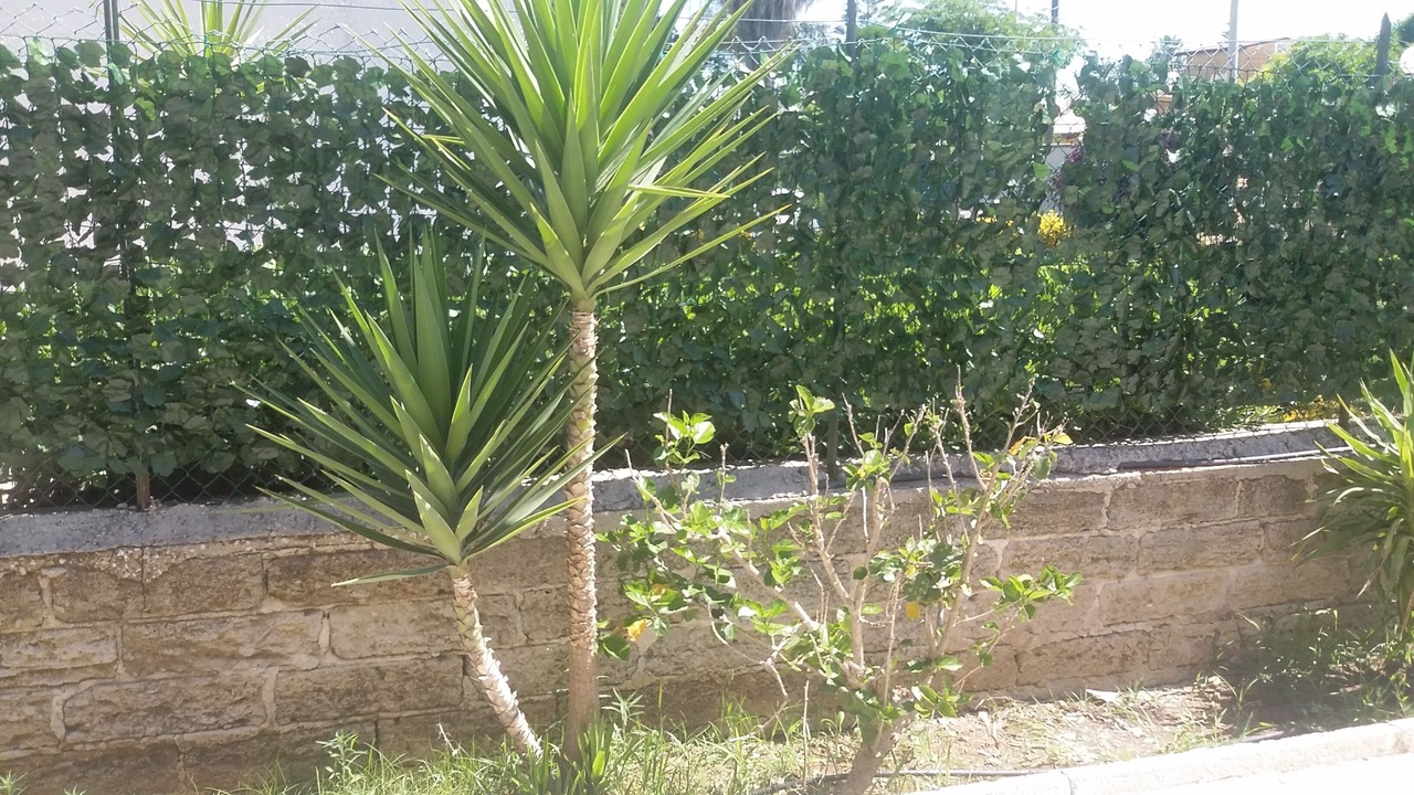 Photo of Outdoor in Arenella