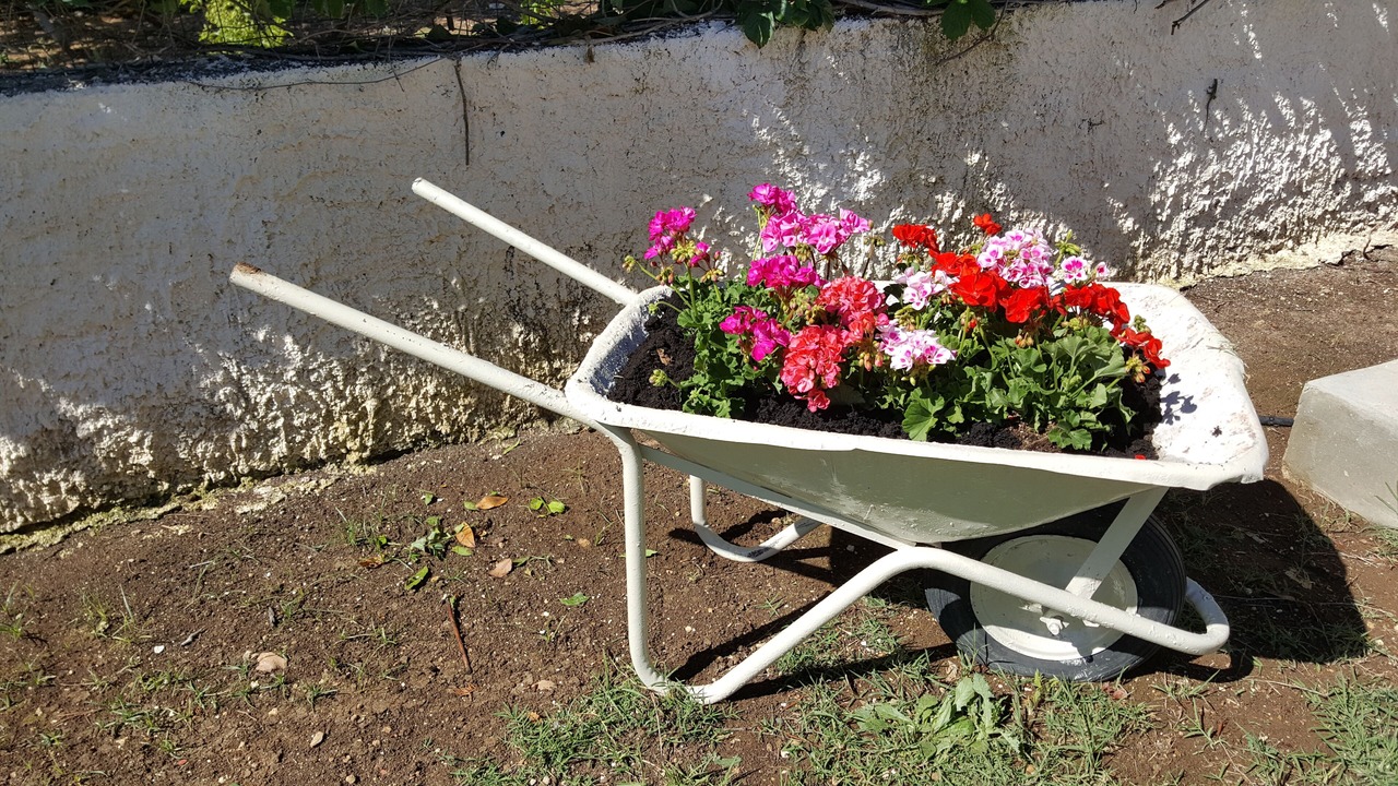 Photo of Outdoor in Arenella