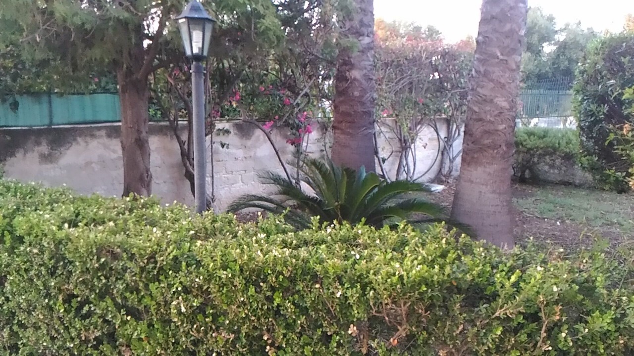 Photo of Outdoor in Arenella
