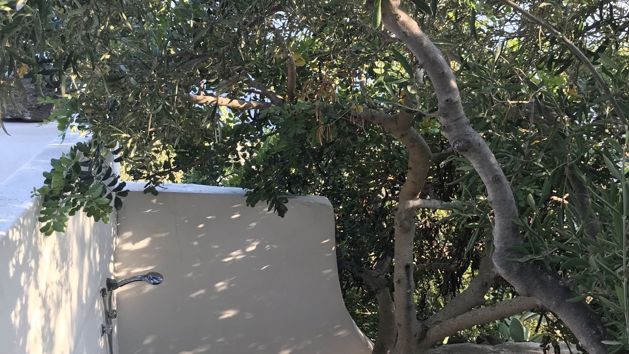Photo of Outdoor in Stimpagnato