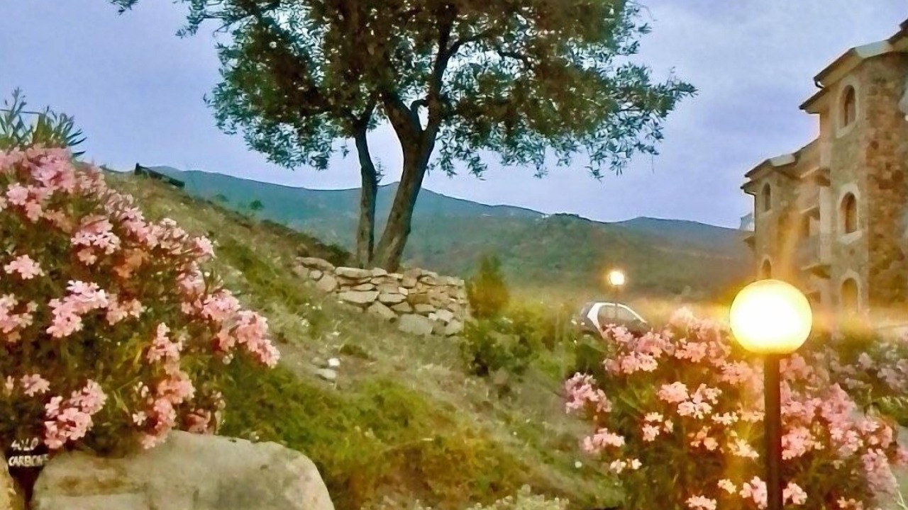 Photo of Outdoor in Badesi