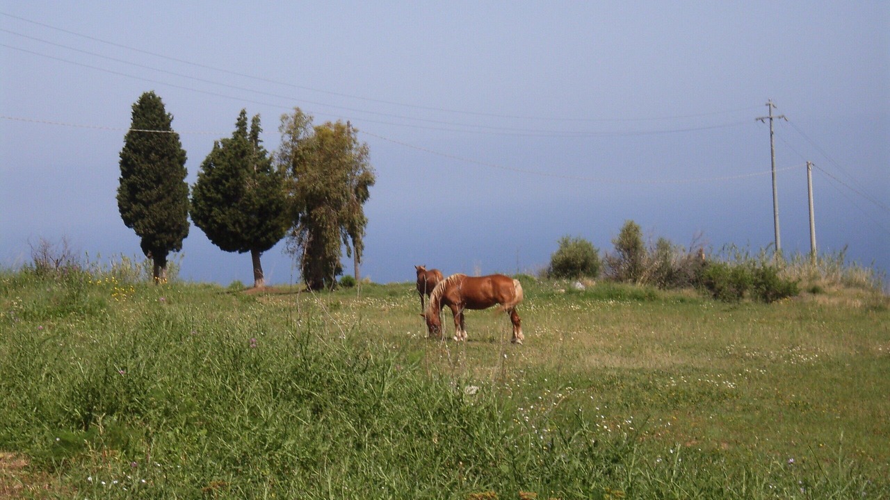 Photo of Outdoor in Parghelia