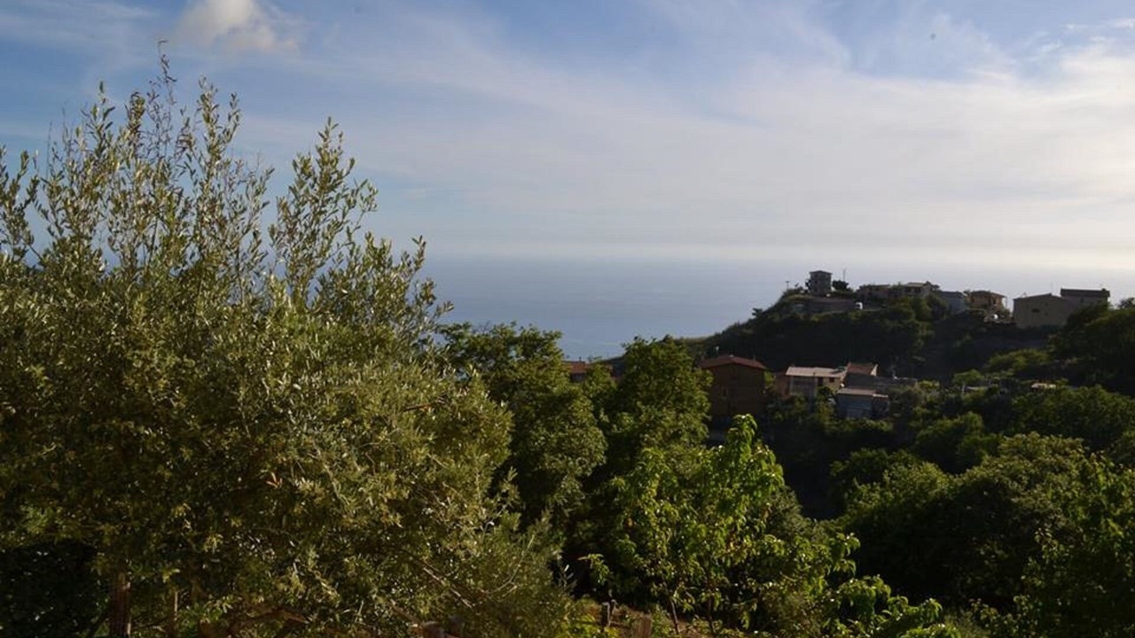 Photo of Others in Cetraro