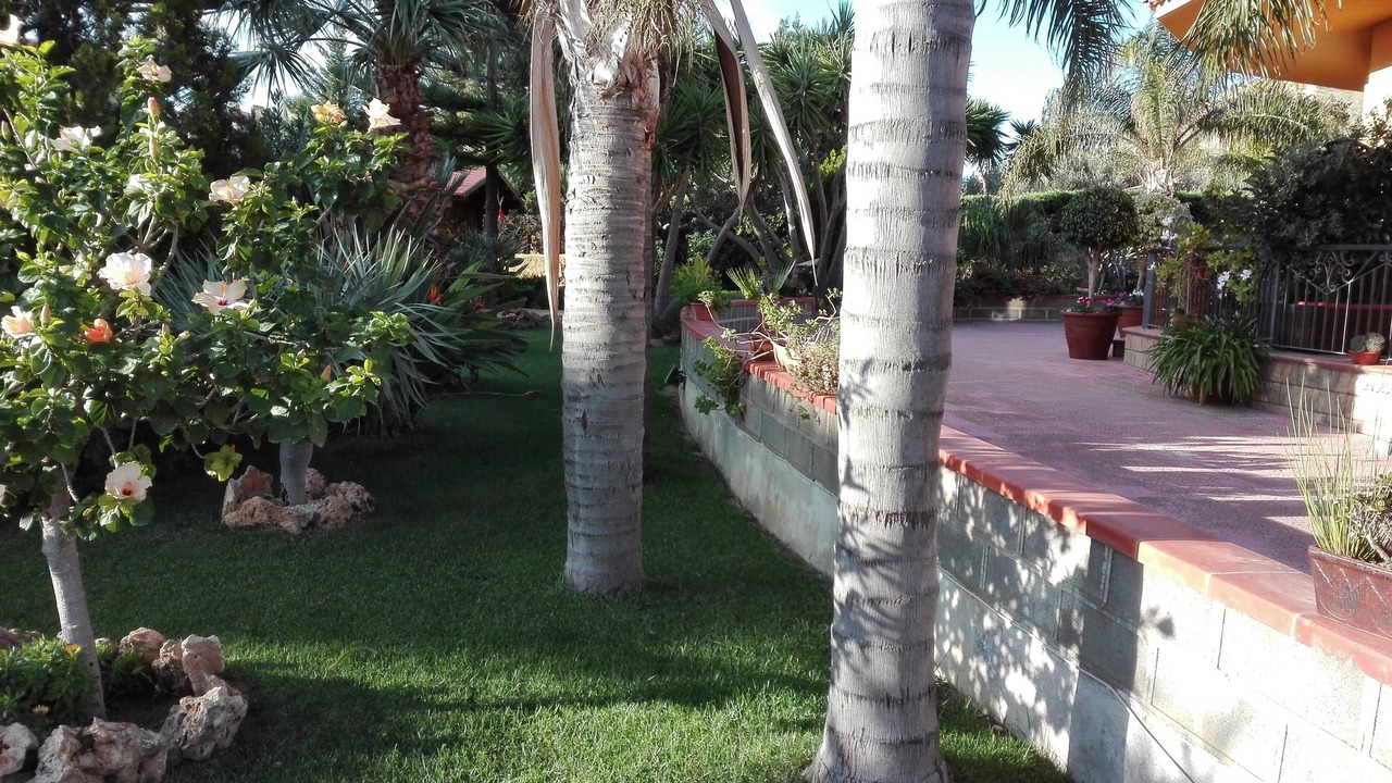 Photo of Outdoor in Villaggio Mose