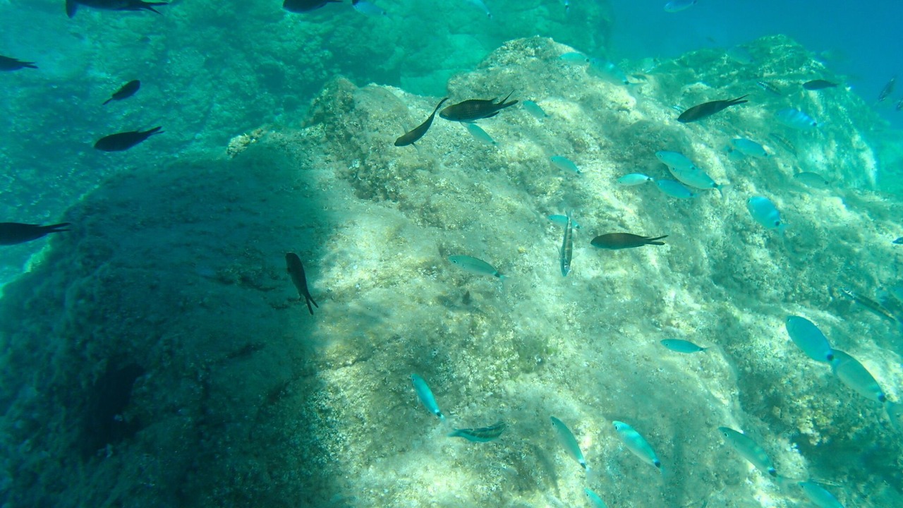 Photo of Outdoor in Ricadi