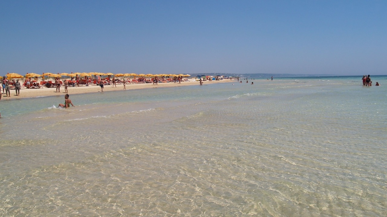 Photo of Others in Torre Vado