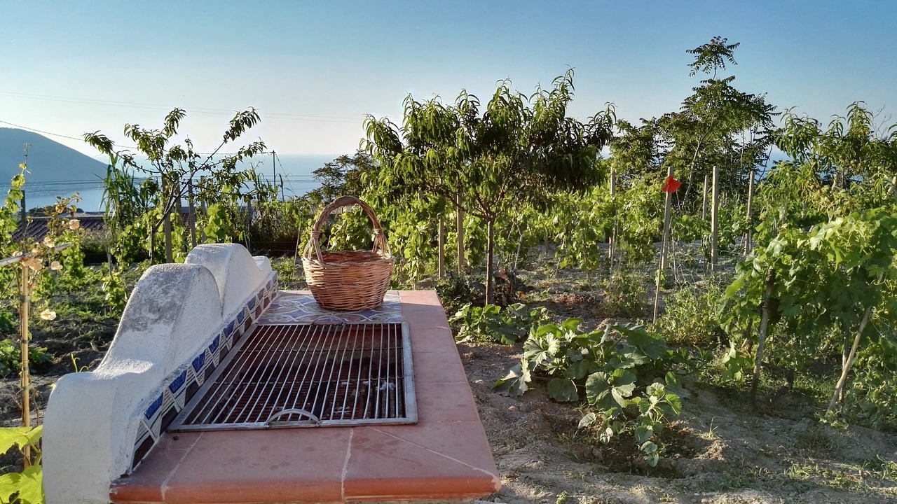 Photo of Outdoor in Quattropani