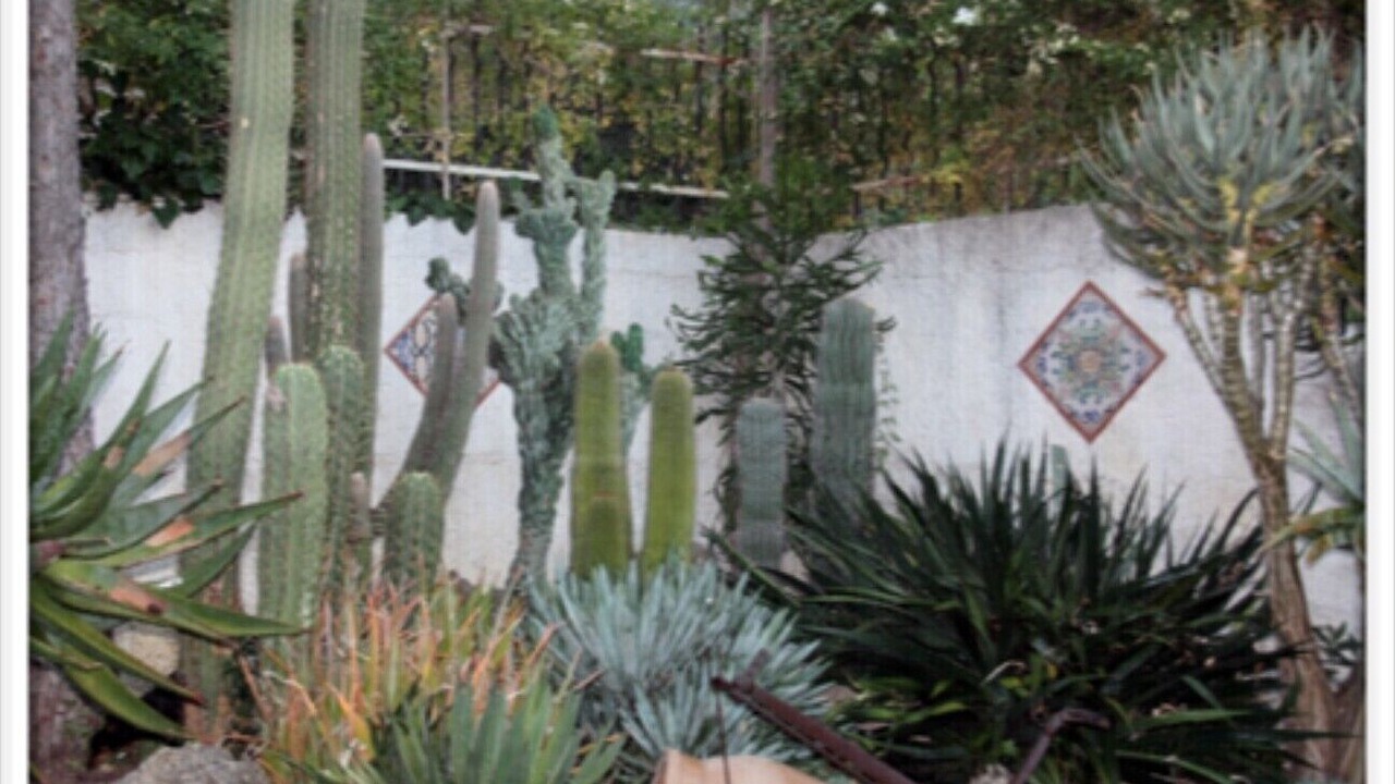 Photo of Outdoor in Monreale