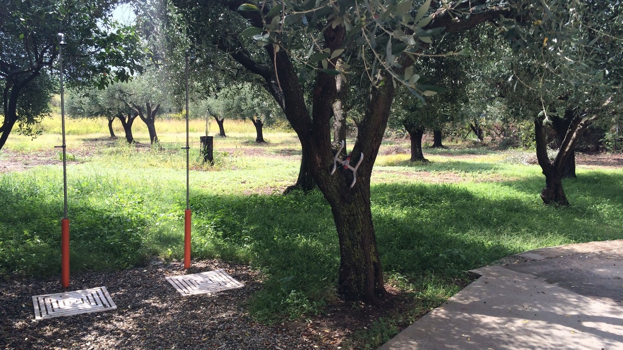 Photo of Outdoor in Santa Maria