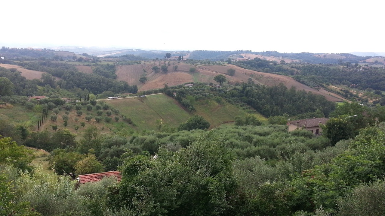 Photo of Others in Fabro