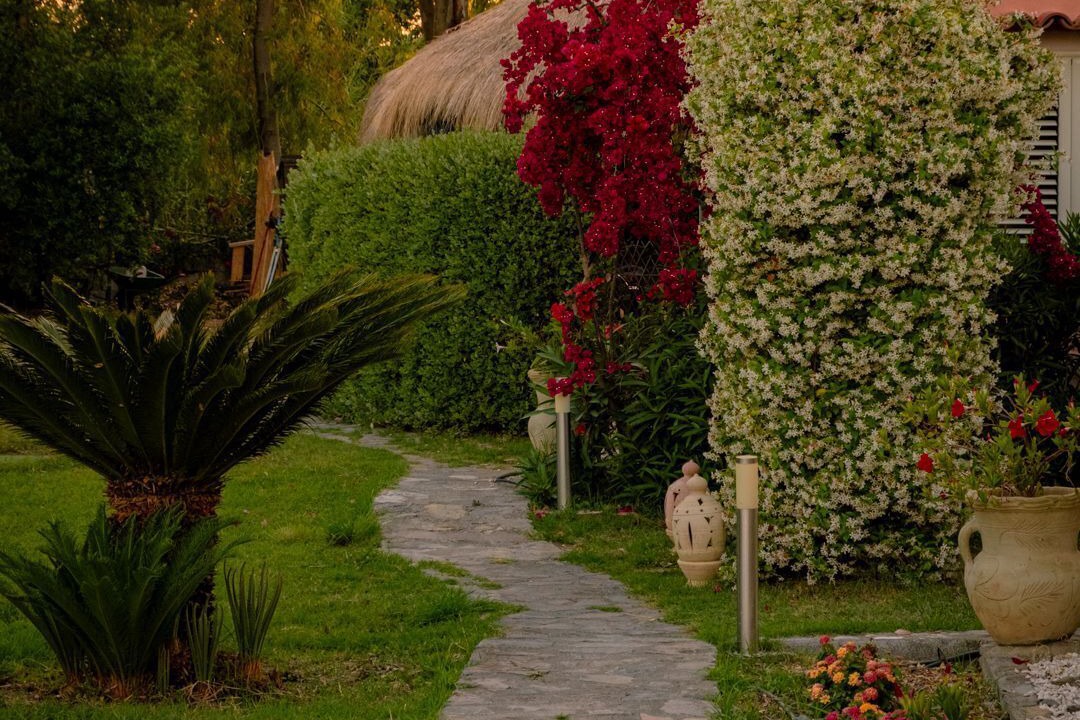 Photo of Outdoor in Diamante