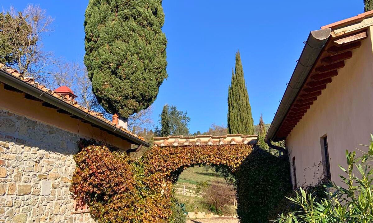 Photo of Outdoor in Grassina