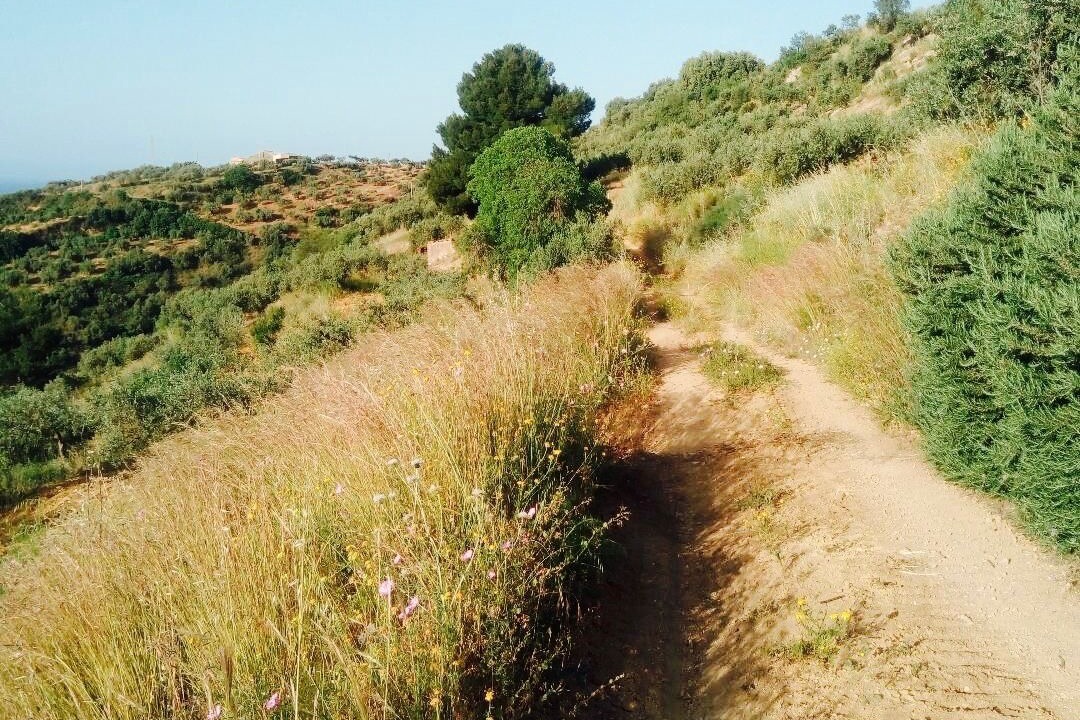 Photo of Outdoor in Sciacca