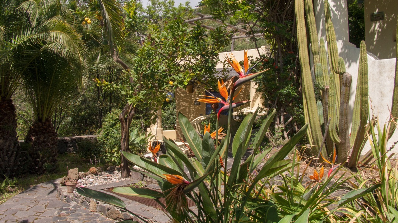 Photo of Outdoor in Lipari