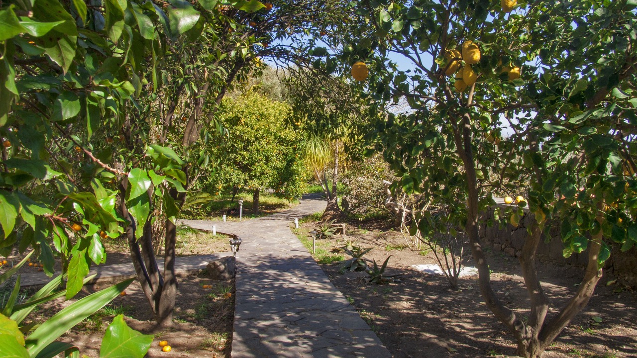 Photo of Outdoor in Lipari