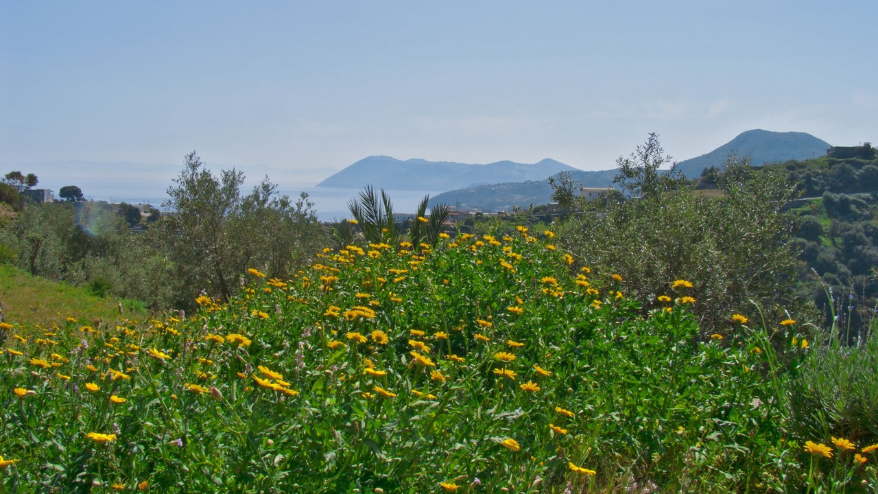 Photo of Outdoor in Lipari