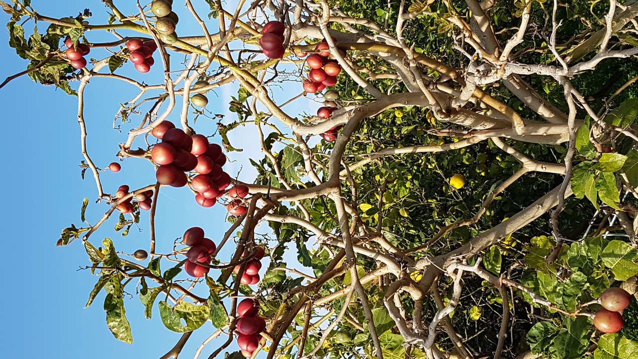 Photo of Outdoor in Trappeto