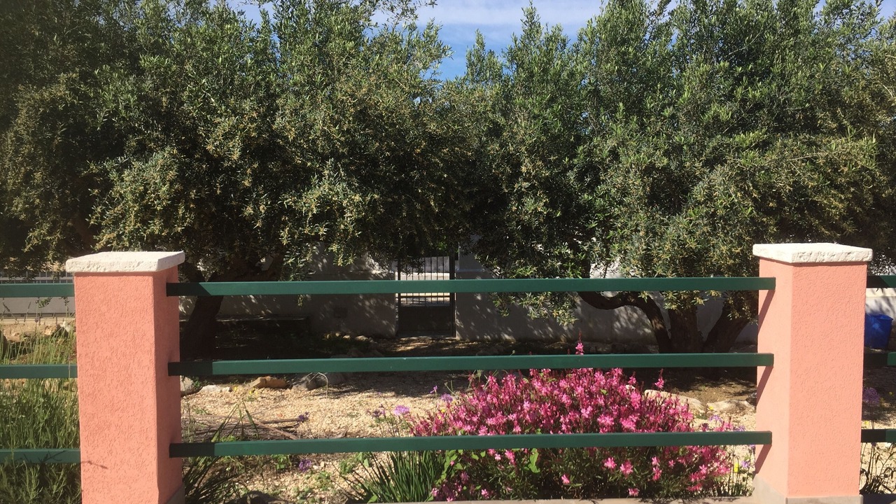 Photo of Outdoor in Castellammare del Golfo