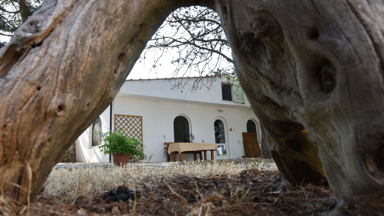 Photo of Outdoor in Gioia del Colle