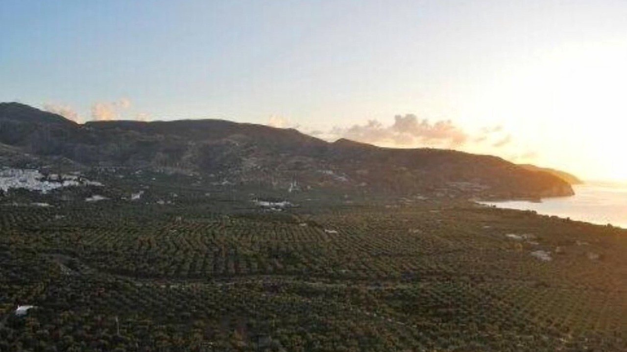 Photo of Outdoor in Mattinata