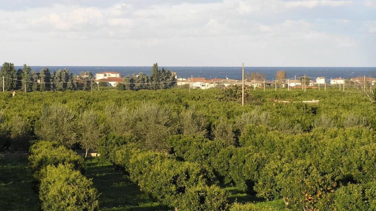 Photo of Others in Corigliano Calabro