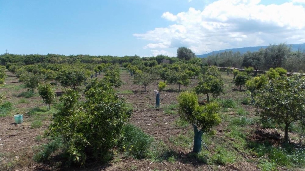 Photo of Outdoor in Corigliano Calabro
