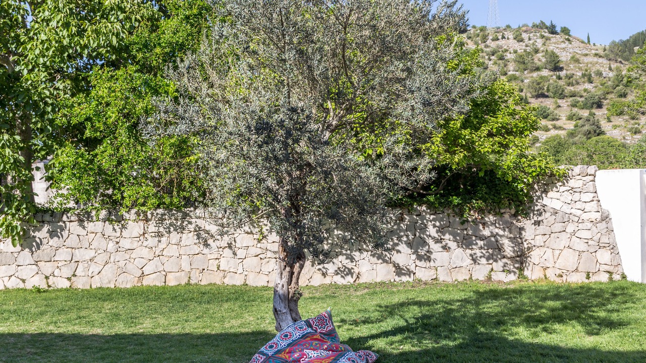 Photo of Outdoor in Ragusa