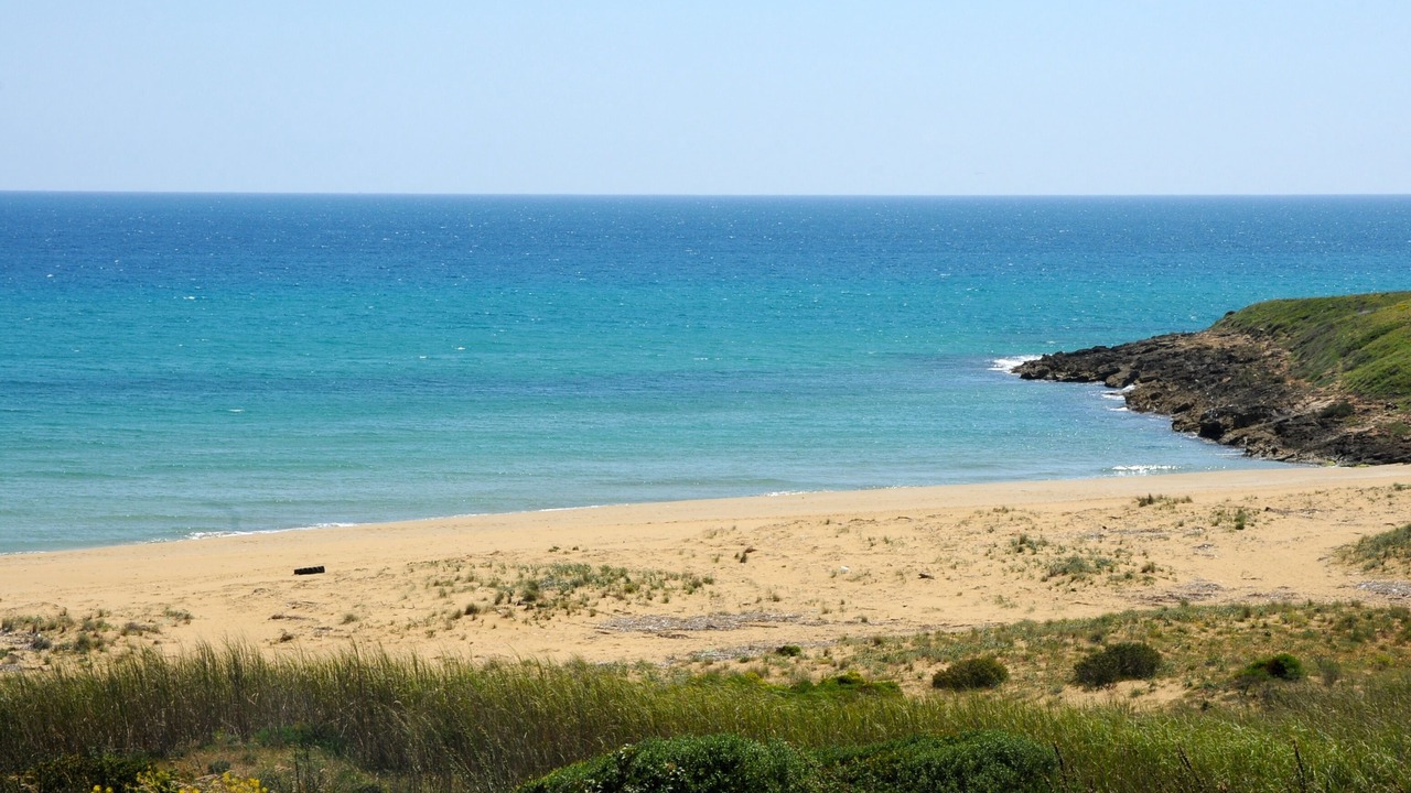 Photo of Others in Noto