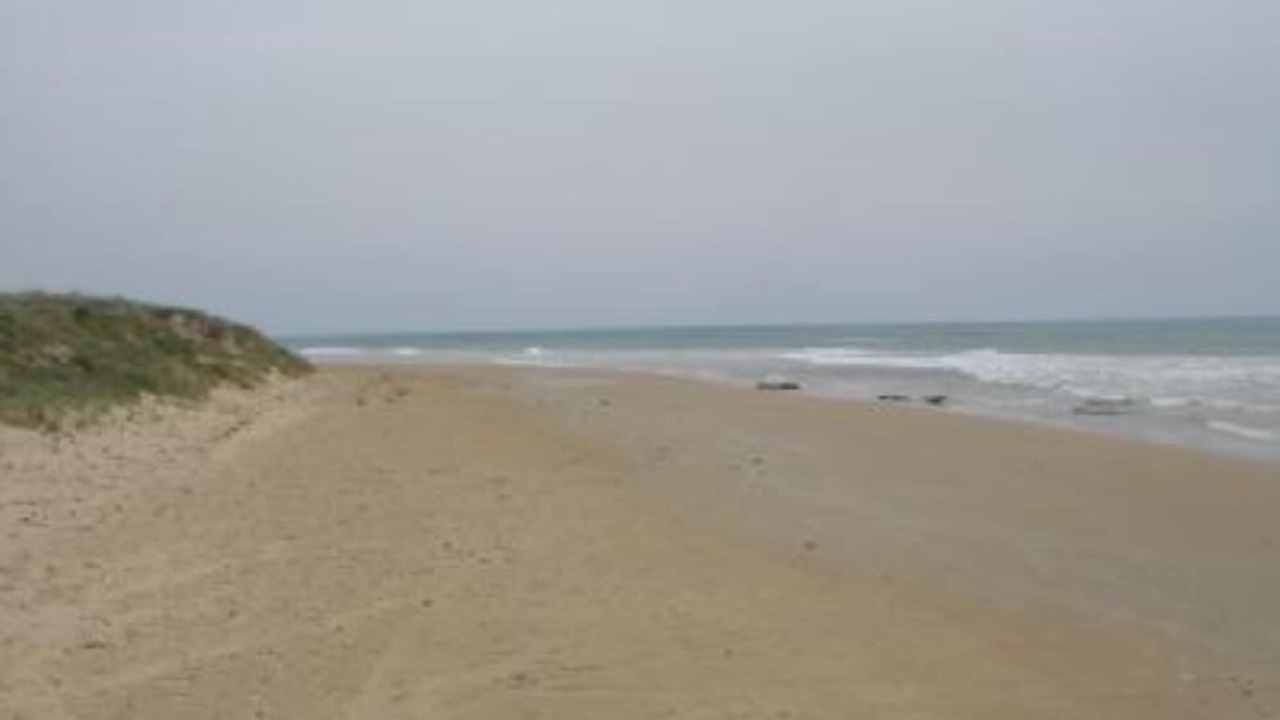 Photo of Others in Campobello di Mazara