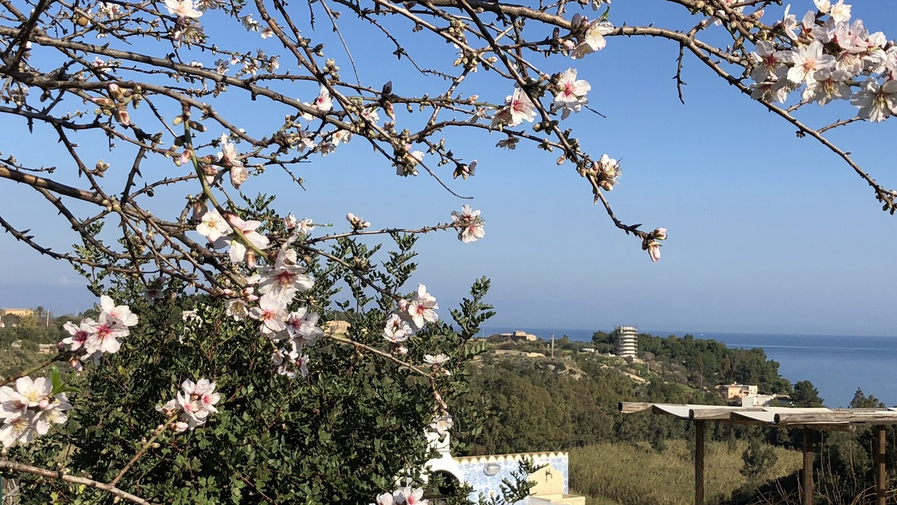 Photo of Outdoor in Scopello