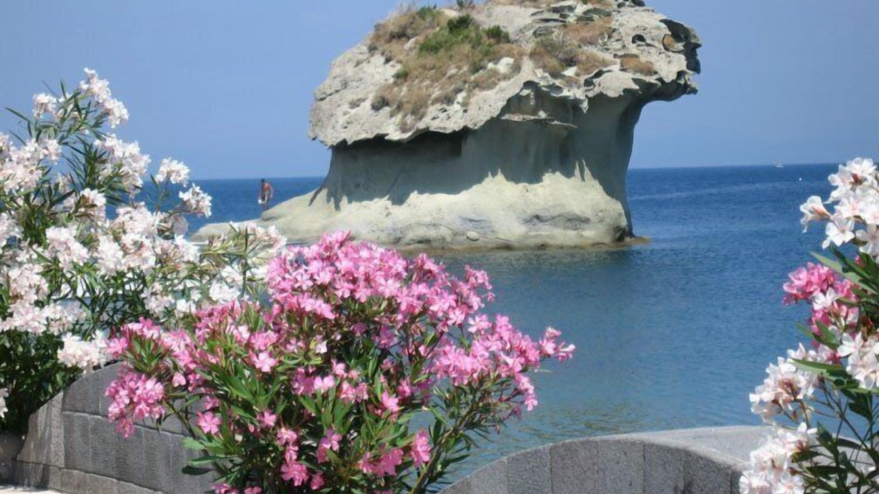 Photo of Others in Barano d'Ischia