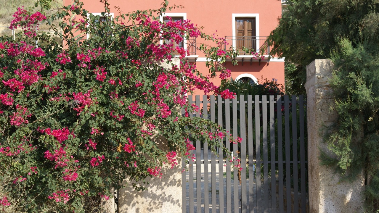 Photo of Outdoor in Realmonte