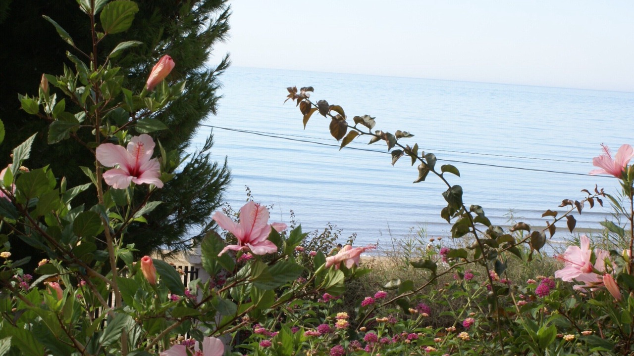 Photo of Outdoor in Realmonte