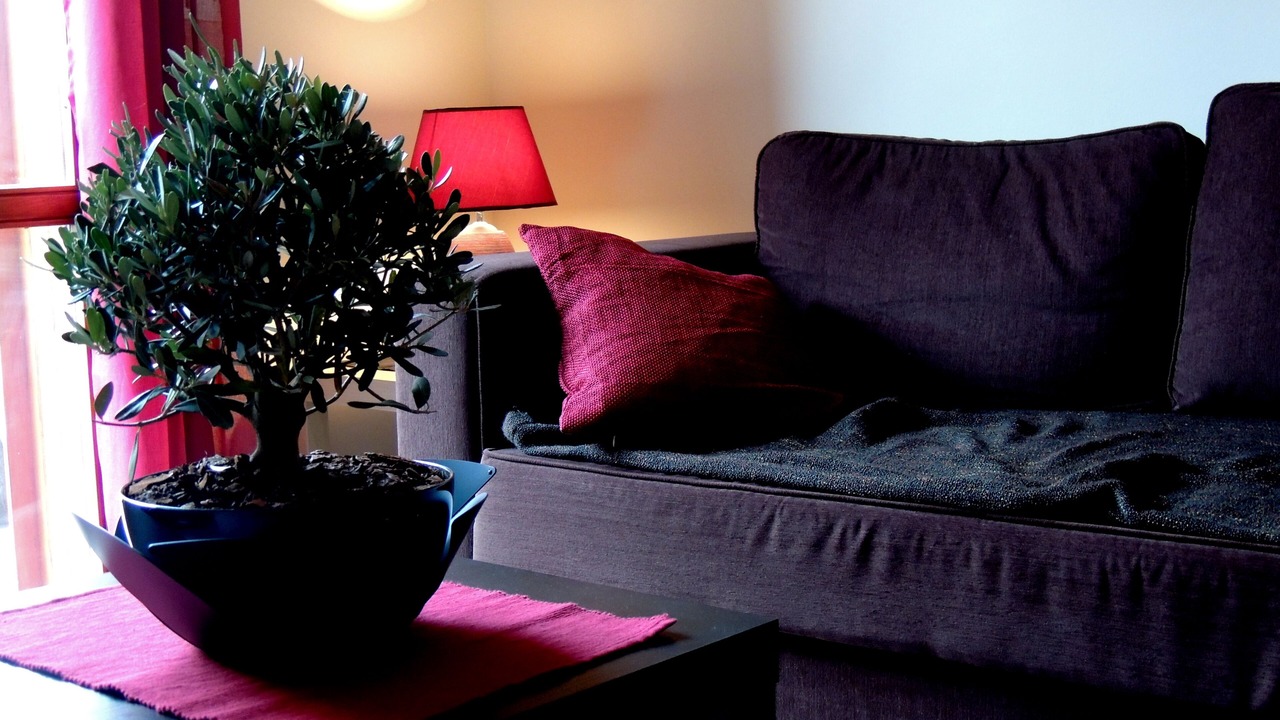 Photo of Livingroom in Zafferana Etnea