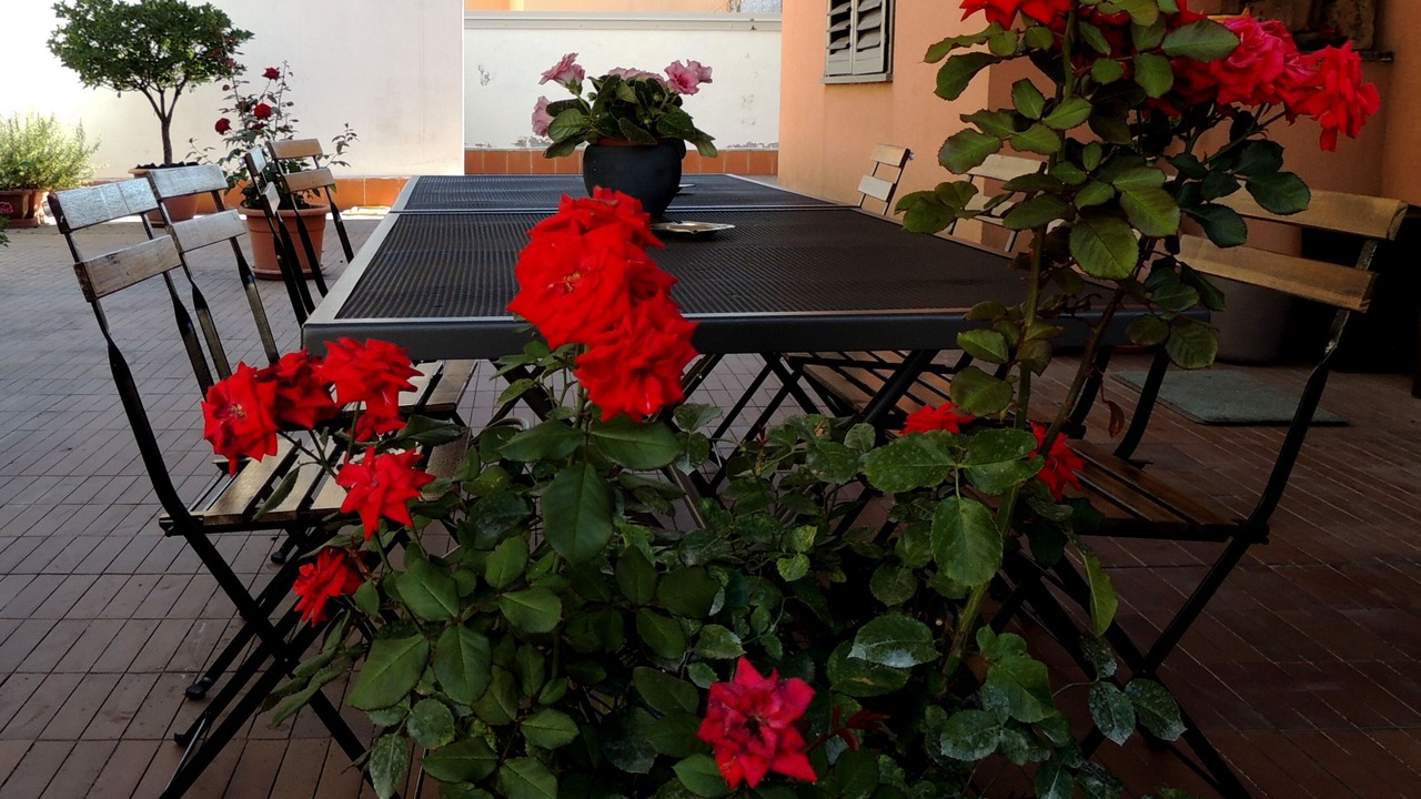 Photo of Outdoor in Zafferana Etnea