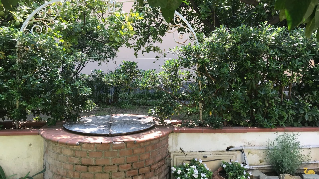 Photo of Outdoor in Patti