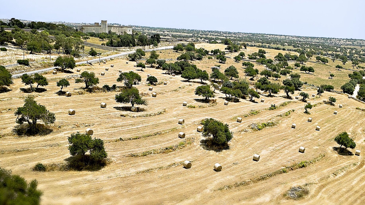 Photo of Outdoor in Ragusa