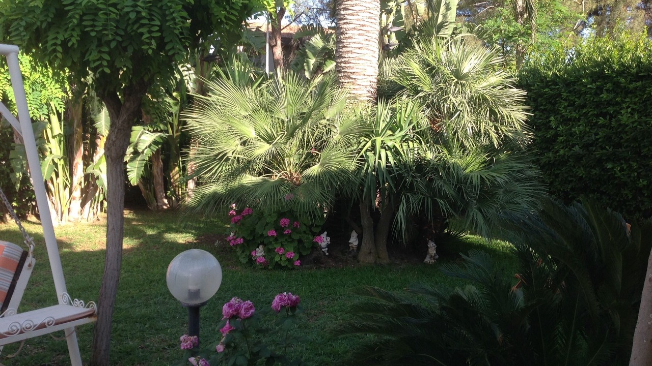 Photo of Outdoor in Arenella