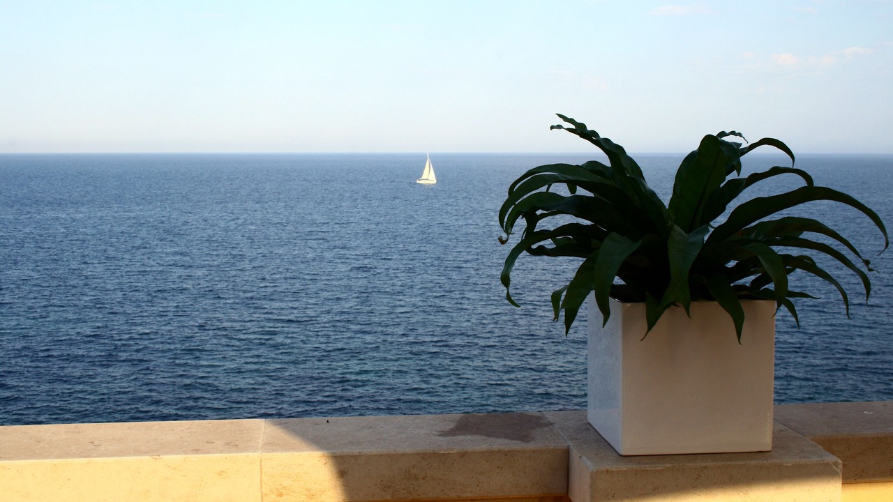Photo of Others in Ortigia
