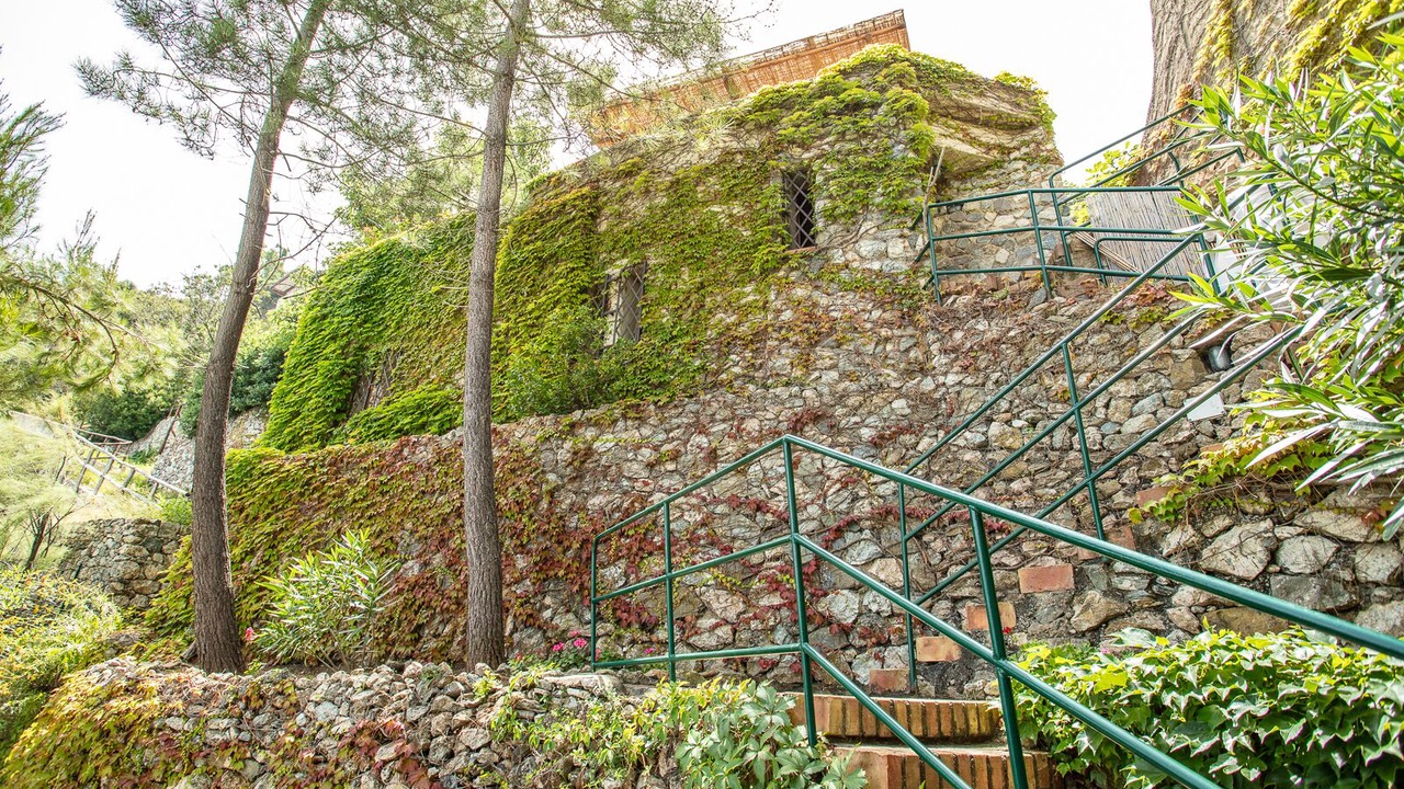 Photo of Outdoor in Scilla