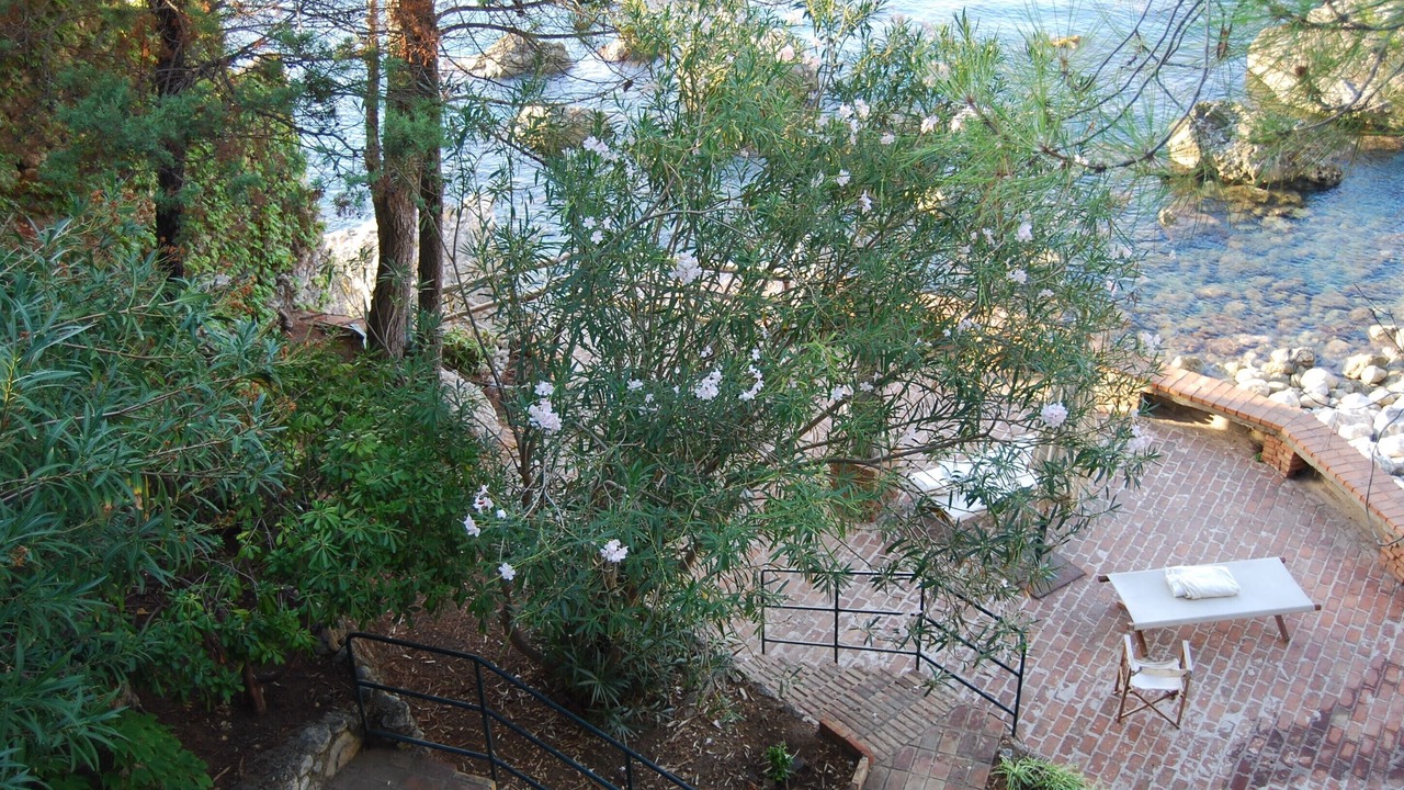 Photo of Outdoor in Scilla