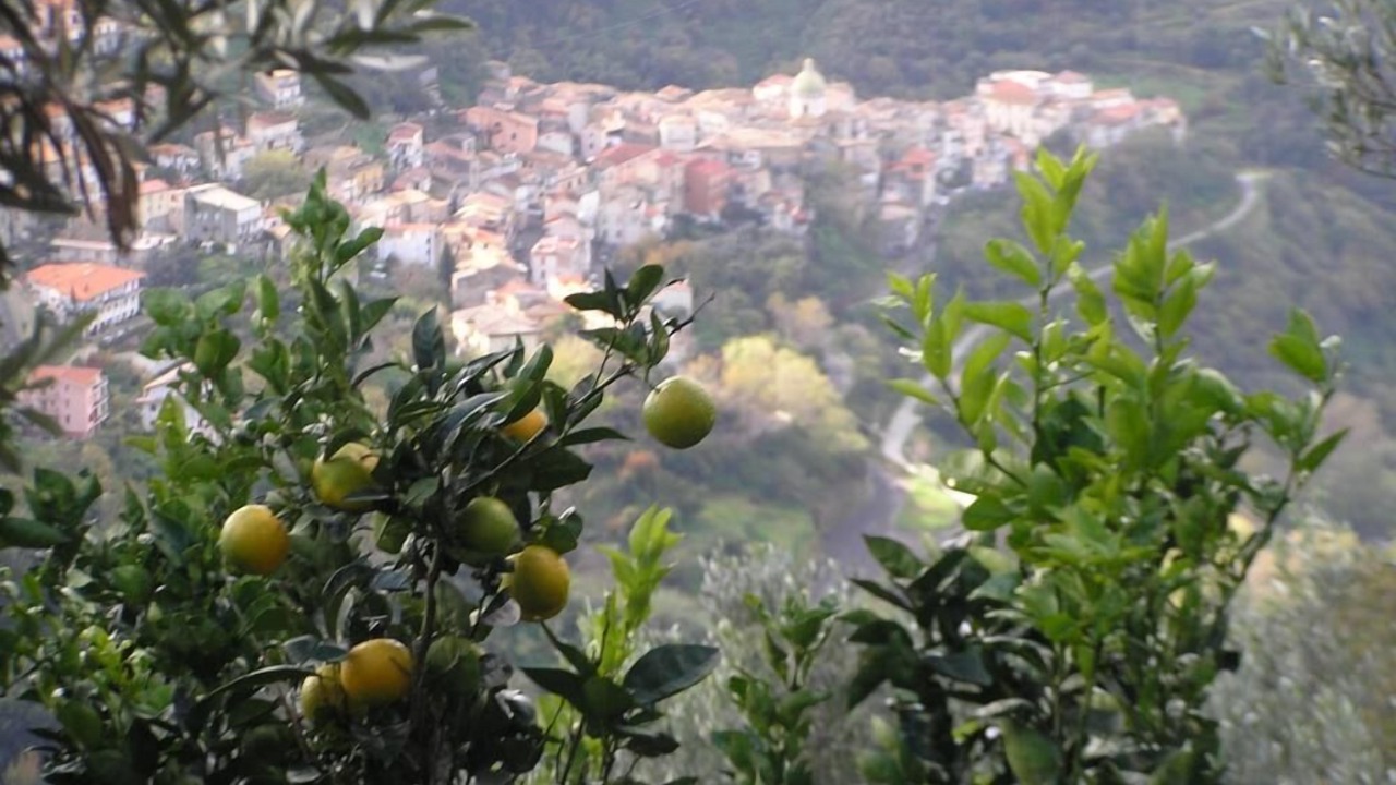Photo of Outdoor in Nocera Terinese