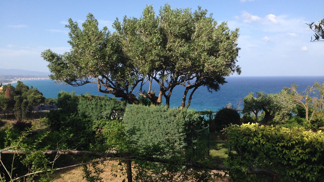 Photo of Outdoor in Santa Maria del Mare Torrazzo