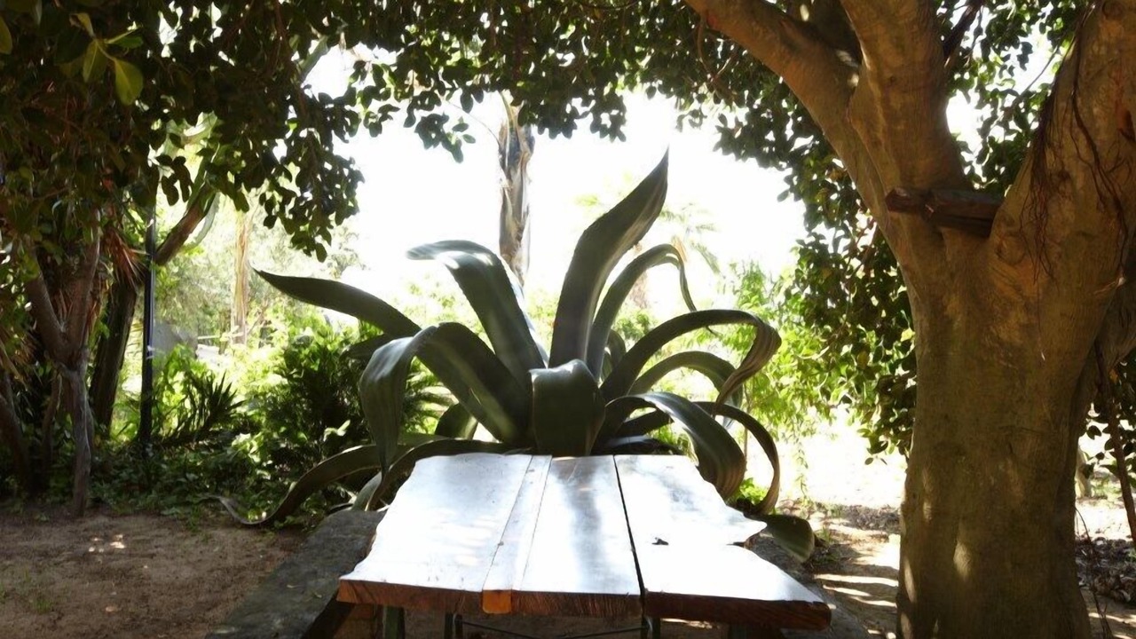 Photo of Outdoor in San Nicolo