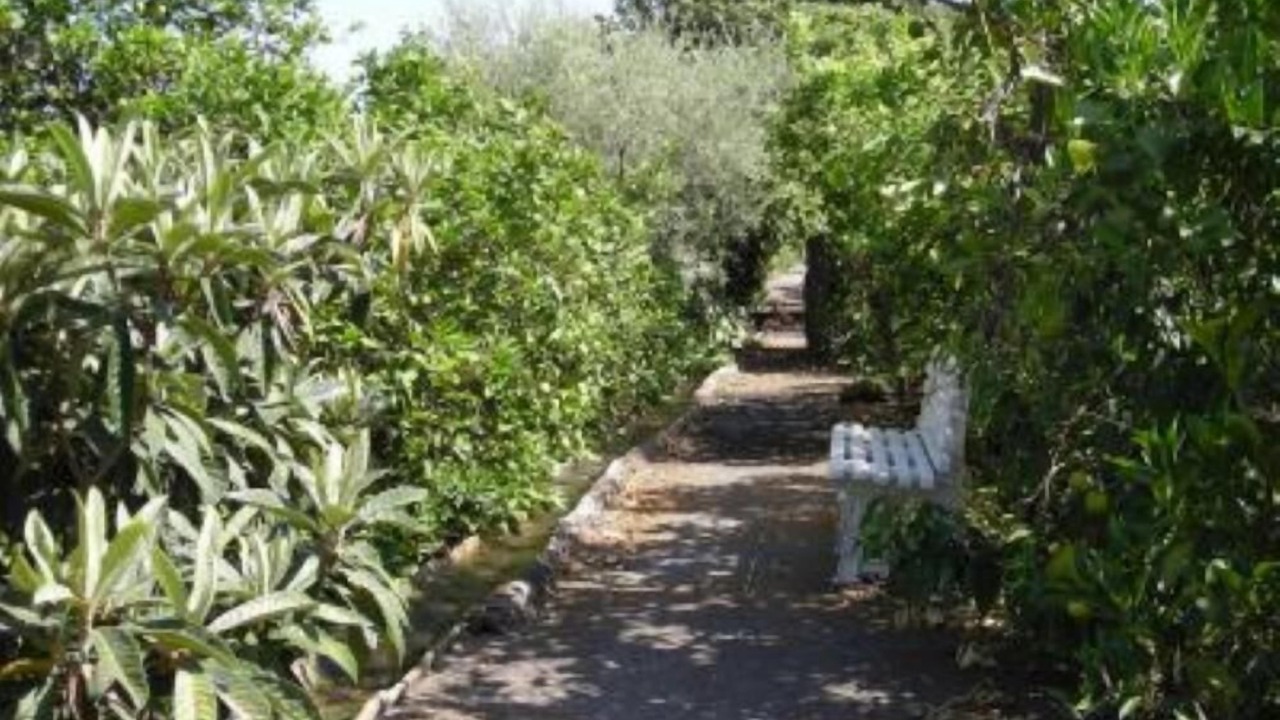 Photo of Outdoor in Santa Tecla