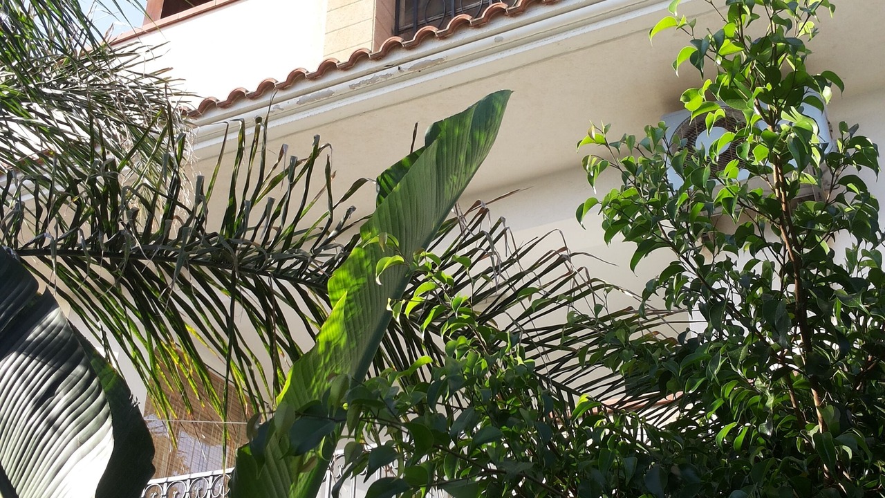 Photo of Outdoor in Menfi